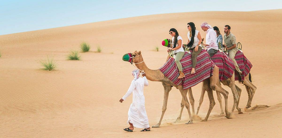 Camel Ride Dubai 1 2pn7ZrG3P56YC6UxfAfXmA