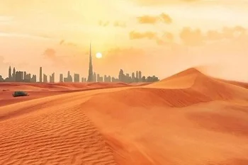 morning desert