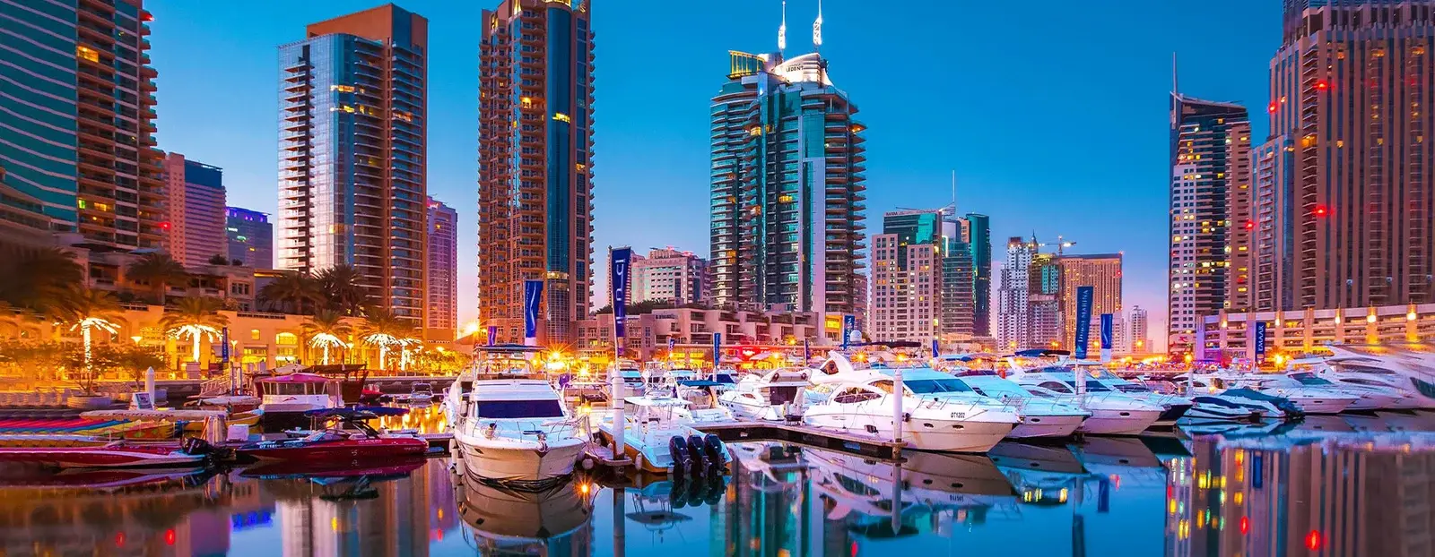 Desert Safari Dubai Banner 3