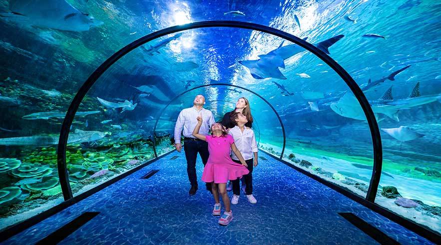 Aquarium Abu Dhabi 01